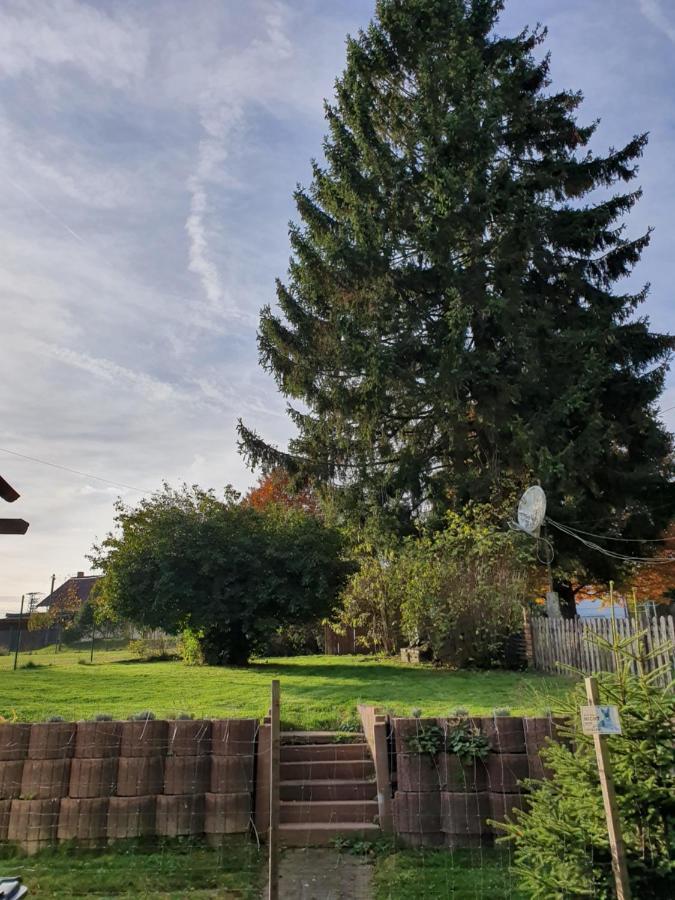 Nationalpark Ferienhaus Sophia-Luisa Borfink Kültér fotó