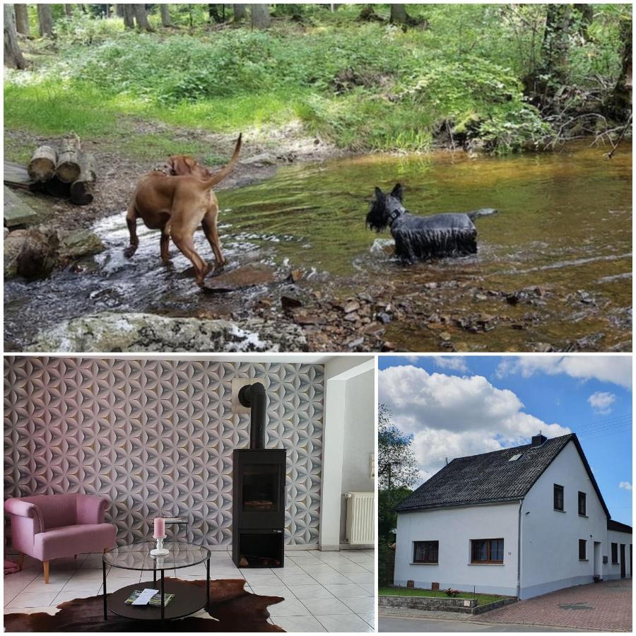 Nationalpark Ferienhaus Sophia-Luisa Borfink Kültér fotó